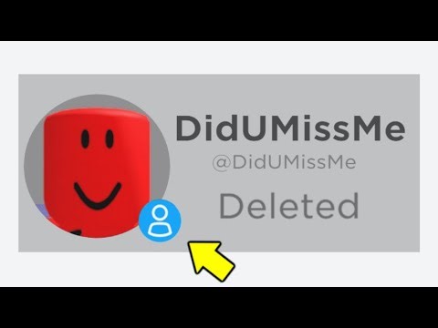 Banned ROBLOX Hackers That RETURNED