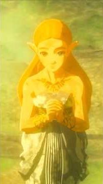 Proof Zelda loves Link!