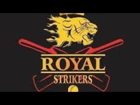 gully cricket live match day 12 🔥😱🏏