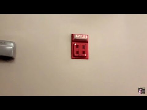 Fire Alarm Test #8