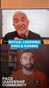 17K views · 385 reactions | How has your dog helped you grow? Come...