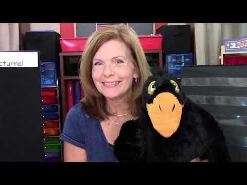 ☀️🌙 Year-Round Virtual Preschool: Night and Day Activities | FREE Lesson Sneak Peek