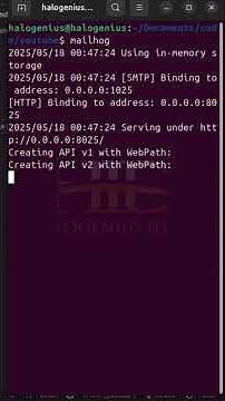 Send Emails with #python ! (MailHog Testing Included) 🚀 #shorts #coding