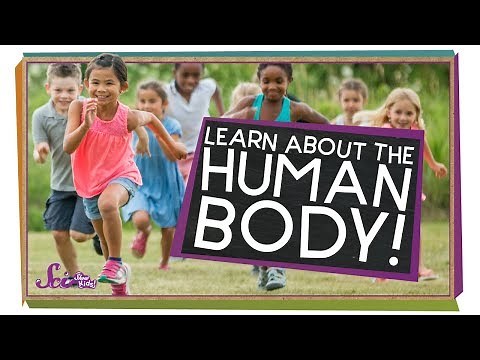 All About Your Body! | Human Body Compilation