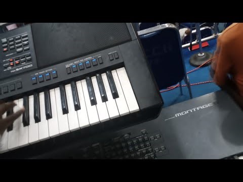 Seben Bassline Tutorial Breakdown | Learn African Rumba & Soukous Bass Patterns Step-by-Step #Seben