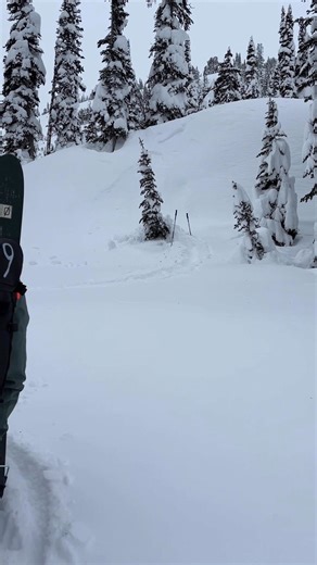 Tree wells are real! Check out this video of our guide demonstrating how far down they go. He jumps right in. | Jamie Korngold