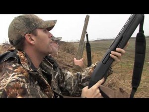 Specklebelly Goose Hunting on the Arkansas Grand Prairie