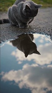 #музыка #комиссар #тыуйдёшь #music #song