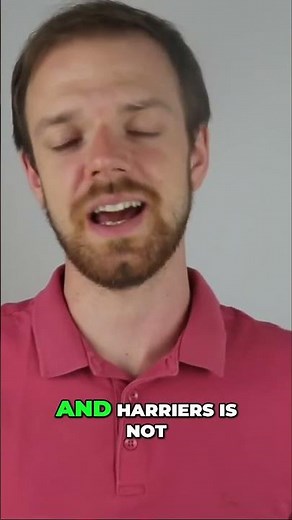 Beagle Harrier: Not Just a Big Beagle!