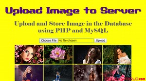 Upload and Store Image File in Database using PHP and MySQL - CodexWorld