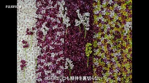 3.5K views · 185 reactions | 【動画紹介 FUJIFILM GFX100】...