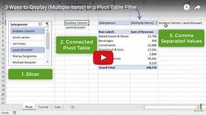 3 Ways to Display (Multiple Items) Filter Criteria in a Pivot Table - Excel Campus