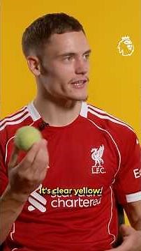 Is A Tennis Ball Green Or Yellow? 🎾