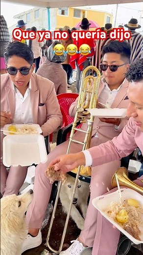 Conste que si le preguntamos. El perrito todo feliz. 🤭🤭🐕