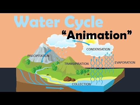 WATER CYCLE | Biology Animation