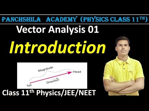 Vector Analysis Full Introduction 🔥 | Scalar & Vector Quantities Explained | Physics Class 11