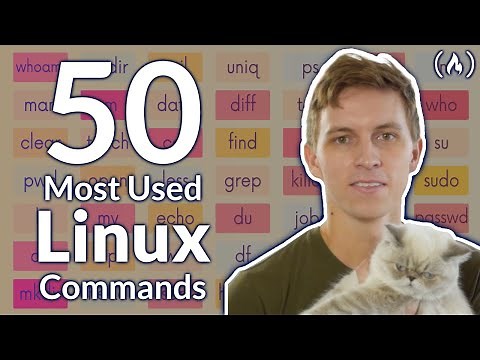 The 50 Most Popular Linux & Terminal Commands - Full Course for Beginners