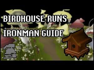 Birdhouse Runs [Ironman Guide] [Updated 2020]