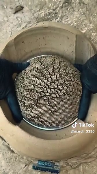 Tum ladki log kabhi nahi Samaj sakthe #trustless #keepsupporting #foryoupage #fyp #xyzabc