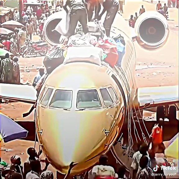 Discover Daily Facts to Expand Your Knowledge