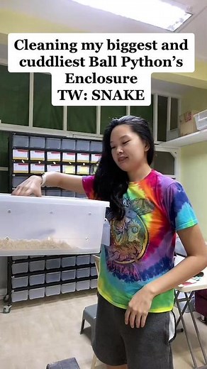 Caring for Adult Ball Pythons: A Guide to Handling and Care