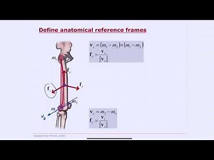 Biomechanics of Movement | Lecture 7.4: Inverse Kinematics: From Marker Locations to Joint Angles