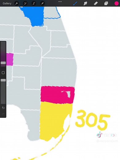 Explore Broward County, FL with Area Codes 954 & 754