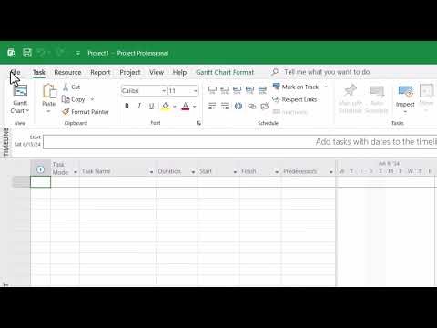 M2L2 MS Project: Setting up a new project