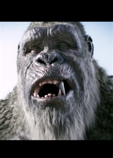 Understanding Film Concepts: A Detailed Movie Explanation