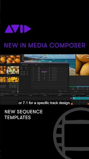 Sequence Templates in Avid Media Composer