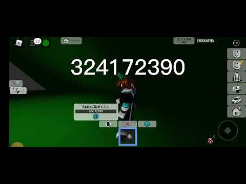 ロブロックスの音楽iD紹介