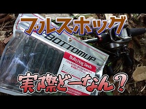 【ブルスホッグ】アクションは全然違う、耐久性は大差ない気がする。気がするだけ【ドライブビーバー】