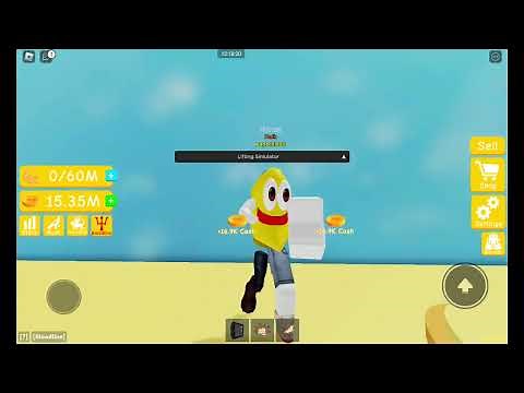 script lifting simulator *op*