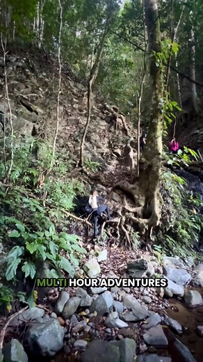 313 reactions · 26 shares | Why settle for one when you can enjoy two pairs for the price of one?  Forget shipping fees and overpriced shoes — with Hike Balance, you get comfort, support, and real relief without the extra cost. Join 100,000+ Americans who finally said goodbye to foot pain and hello to freedom. For a limited time: Buy 1 pair, Get 1 FREE.  Don’t wait — comfort is better in twos! https://try.hikebalance.com/hike-balance/pre-us-bogo | Ortho Balance | Facebook