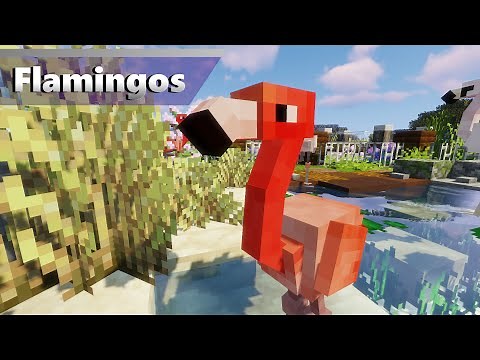 Flamingo Pond | Alex's Mobs Zoo (Minecraft 1.16.5 Zoo)