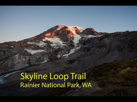 Skyline Loop Trail Rainier NP