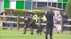 6.8K views · 61 reactions | Police K9 Dogs in Action ‍♂️ | Dog Lovers | Facebook