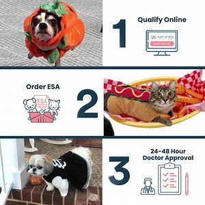 52K views · 76 reactions | As a doggy parent, take a stand and protect your right to keep your dog by your side. Get your ESA approval while doctors are still available. Qualify in 3 easy steps and get doctor’s approval in 48 hours (or less). | Support Pets | Facebook