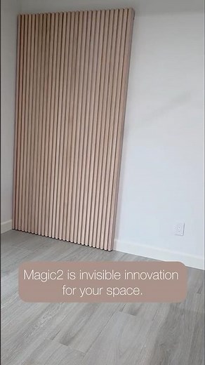 ✨Discover the BEST Wall Mount Concealed Sliding System