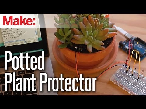 Weekend Projects - Potted Plant Protector