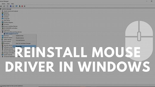 How to reinstall mouse driver in Windows 11/10