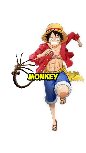 What if a Facehugger Attacks Monkey D Luffy? One Piece Netflix Season 2 #Shorts #Viral