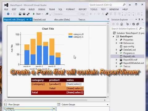 How to Create a Report with a Parameter using ReportViewer in Visual Studio