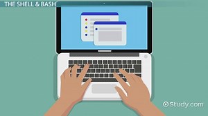 Kernel, Shell & Terminal in Linux | Overview & Types