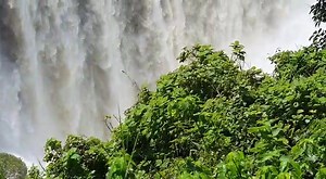 David Coltart on Reels