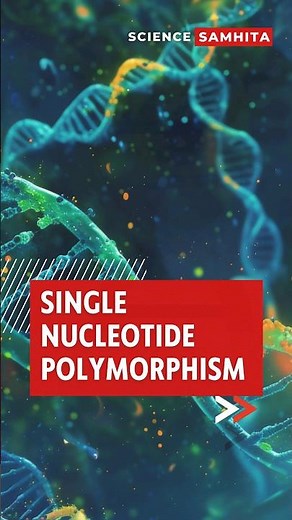 Single Nucleotide Polymorphisms Explained in 1 Minute! #snps