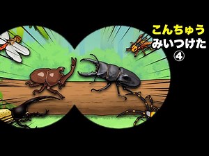 【子供向けアニメ】こんちゅう！みいつけた④〈カブトムシ、クワガタ、カマキリ、コーカサスオオカブト、ヘラクレスオオカブト、赤とんぼ〉【昆虫・虫】insect beetle stag animation