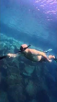 Diving in the Atlantic: Surrounded by hundreds of fish! 🐠🌊#ocean_life #atlantic #diving