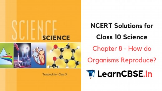 NCERT Solutions for Class 10 Science Chapter 8 How Do Organisms Reproduce?