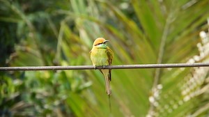 Ultimate Nature Video Collection: Download 4K, 1080p & Copyright-Free Footage - Pixabay